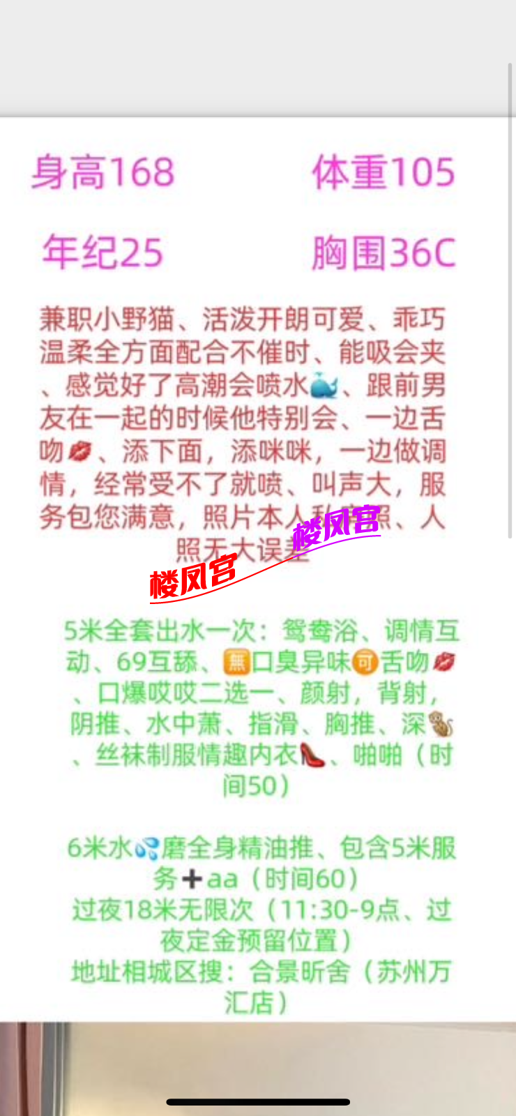 IMG_9385.png