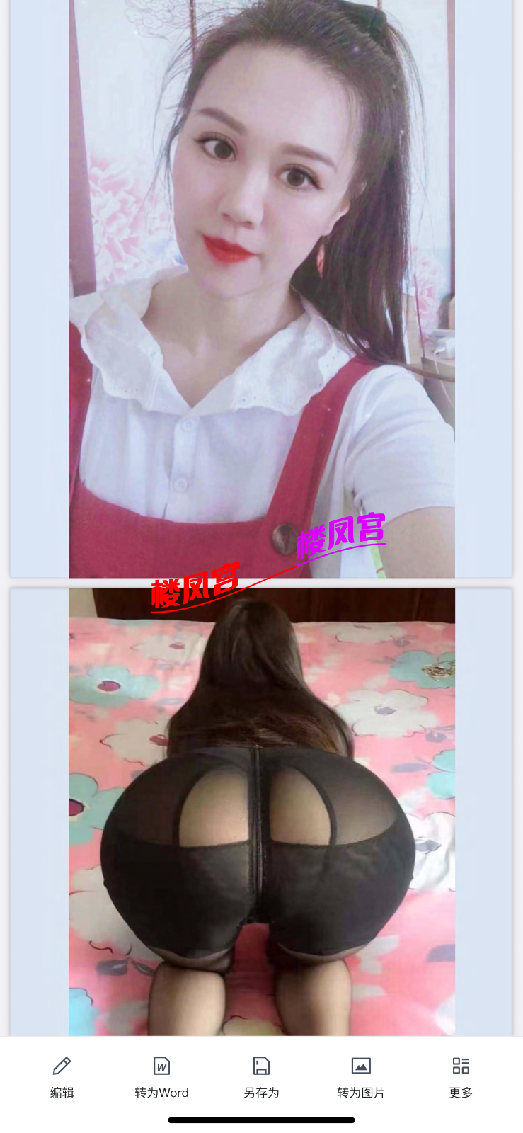 IMG_5913.png
