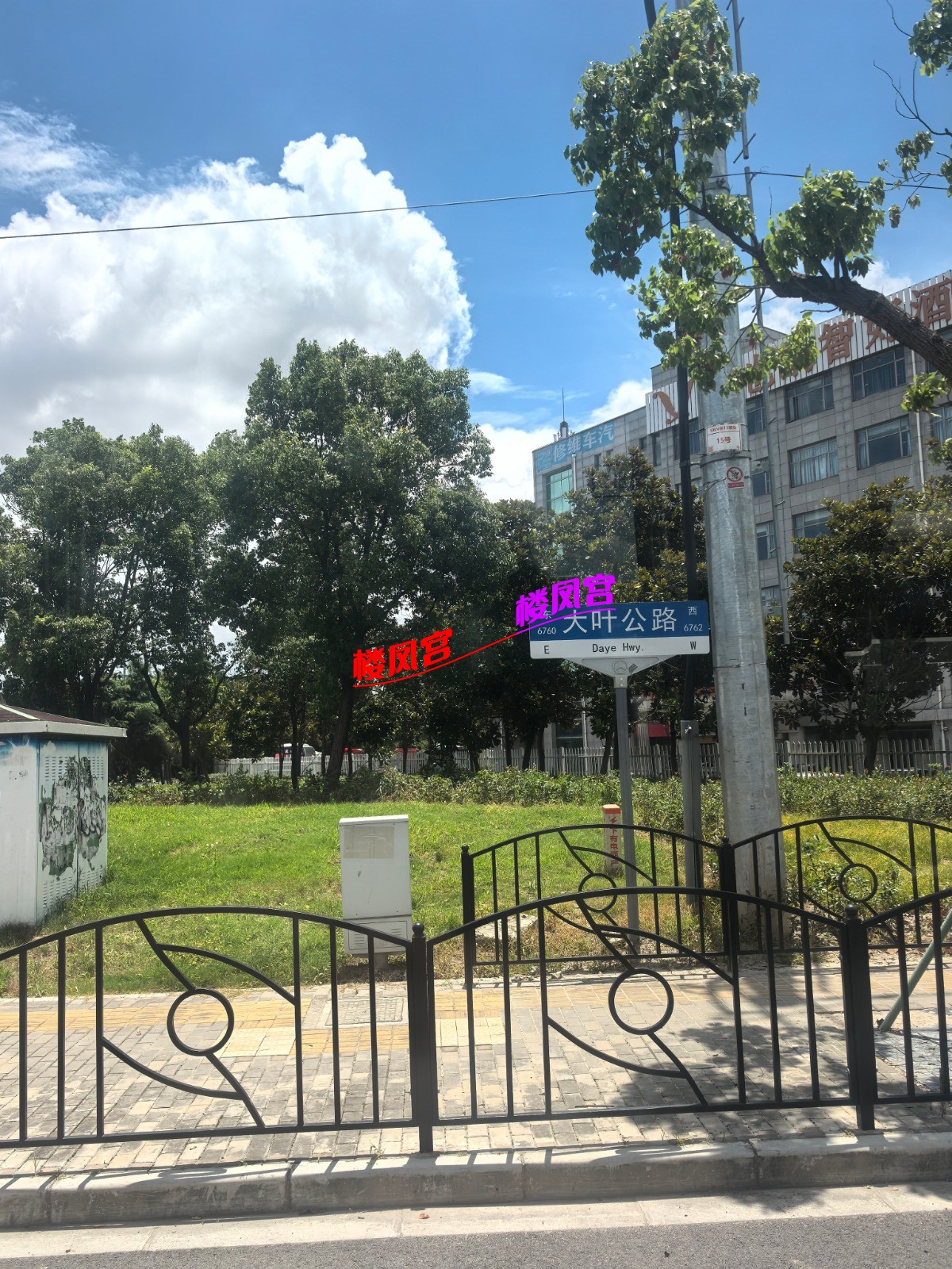 IMG_20250708_120210.jpg