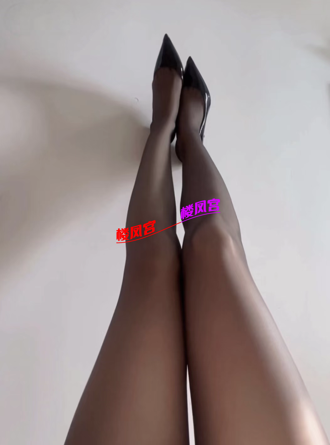 1000147384.png